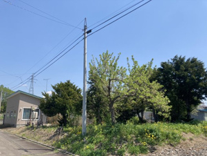 大樹町新通4丁目【外観】