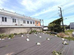 現地土地写真から周辺が開放的な環境であることがわかります。