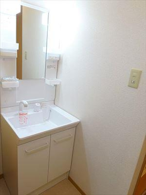 シャンプードレッサー完備（別の部屋の写真です）