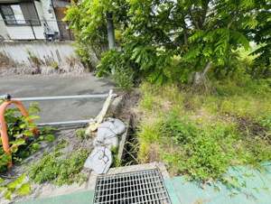 北杜市須玉町藤田　売地【外観】