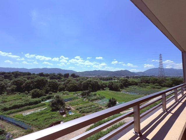 ネバーランド西京極【展望】