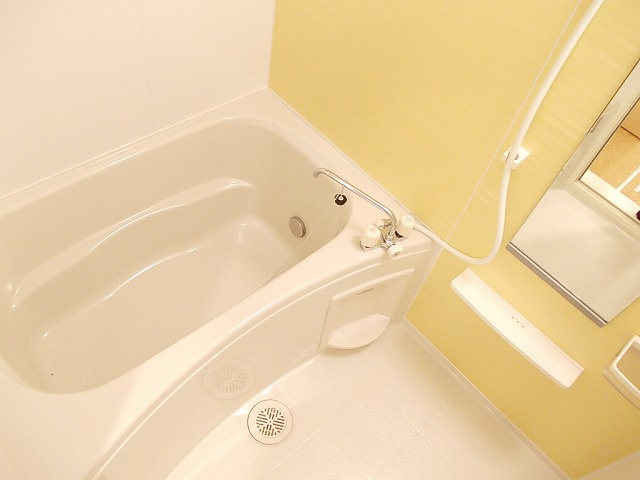 バス
