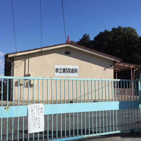 第一保育所 0.9km