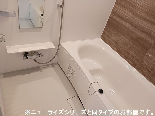 バス