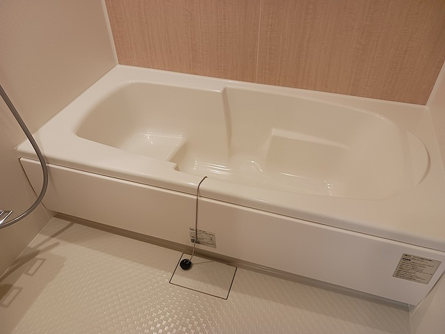 バス