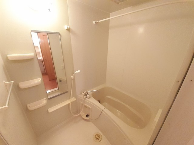 バス
