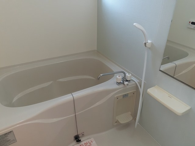 バス