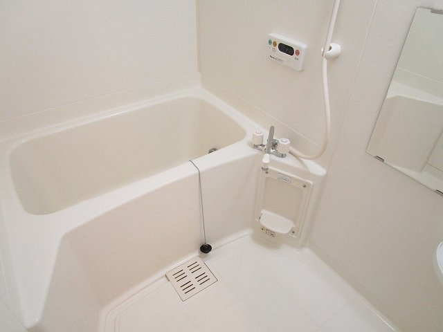 バス