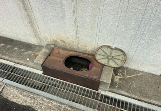 【その他】