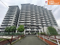 ネオハイツ姫路アメティ228の画像