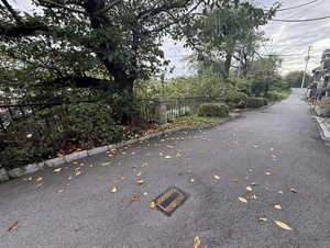S22475-錦林【前面道路含む現地写真】