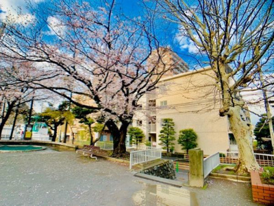 外観は落ち着いています