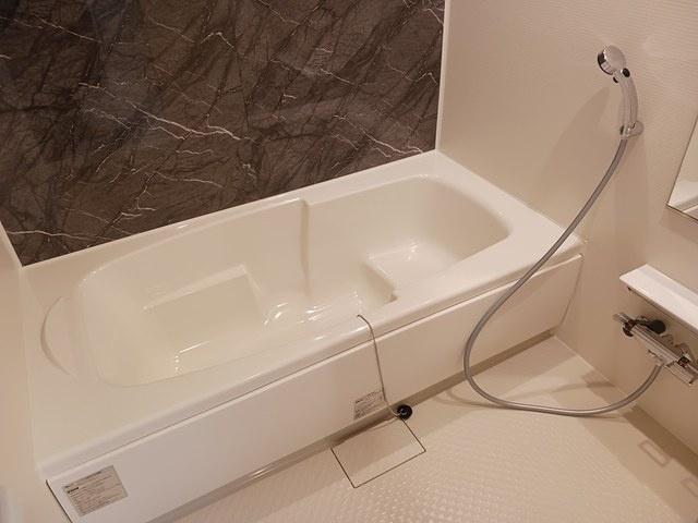 バス