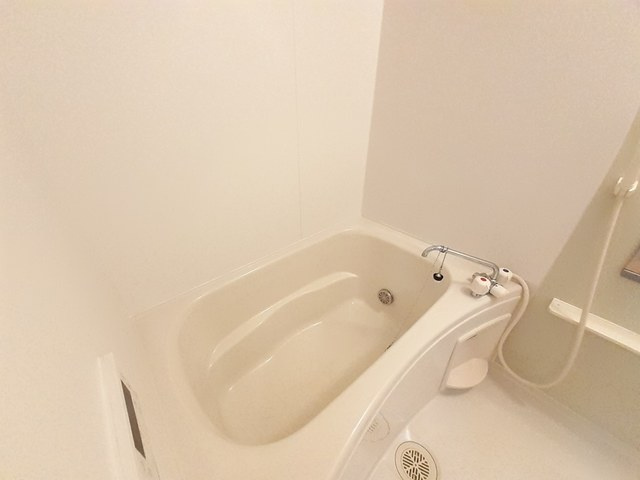 バス