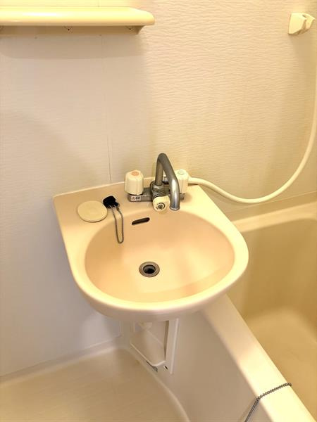 洗面ボウルタイプです！