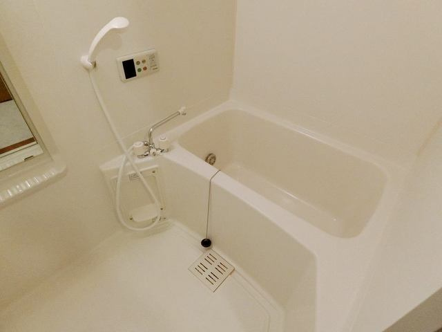 バス