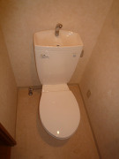 落ち着いた色調のトイレです