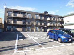 お部屋探し！シーズンスタート！の画像