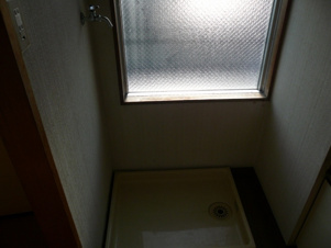 ニューライフ藤【その他】室内洗濯機置場