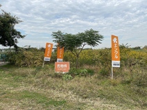 八潮市八條　敷地197坪以上の農地の画像