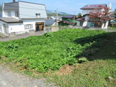 小樽市松ケ枝１丁目の売地の画像