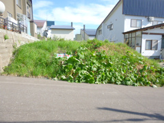 小樽市オタモイ１丁目の売地の画像