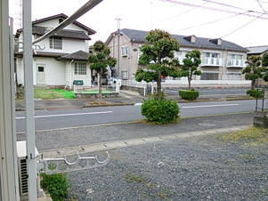 ロイヤルハイツⅡ【展望】部屋からの眺め　並木通り