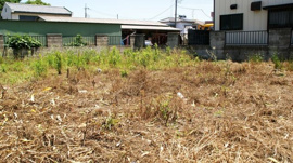 売地 羽生市東3丁目 西中の画像