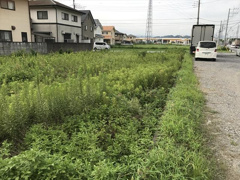 佐野市吉水町の画像
