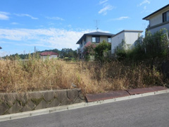 矢板市成田　土地の画像