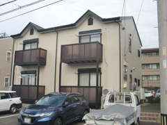 メルシーの画像