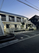 プチカトレア　Bの画像