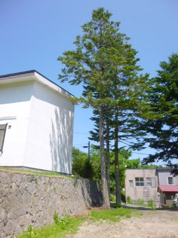 小樽市長橋５丁目の売地【外観】