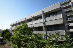 駅近く1ＤＫの画像