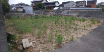 坂出市川津町の売地【外観】