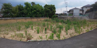 坂出市川津町の売地【外観】