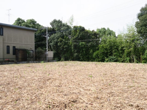 長洲町宮野売地【外観】