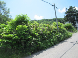 小樽市長橋５丁目の売地