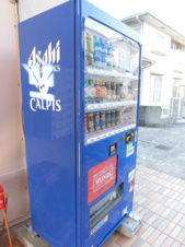 カサブランカ【その他】エントランスに自動販売機