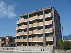 サクラディアの画像