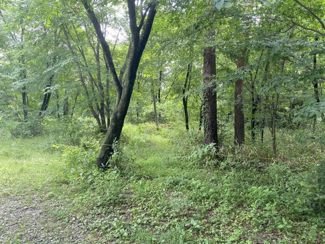 那須塩原市塩野崎17100万円の土地【外観】