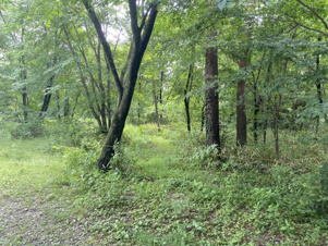 那須塩原市塩野崎17100万円の土地【外観】