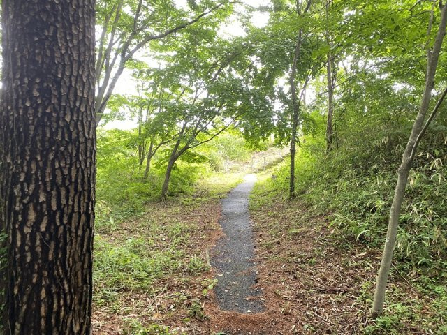 那須塩原市塩野崎17100万円の土地【外観】