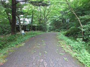 那須町高久乙52万円の土地