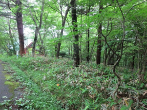 那須町高久乙52万円の土地