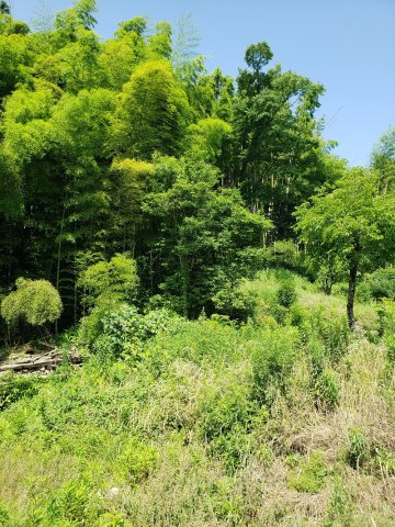 鳥取市東今在家古民家【庭】