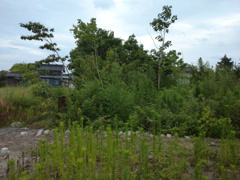 鳥取市叶土地の画像