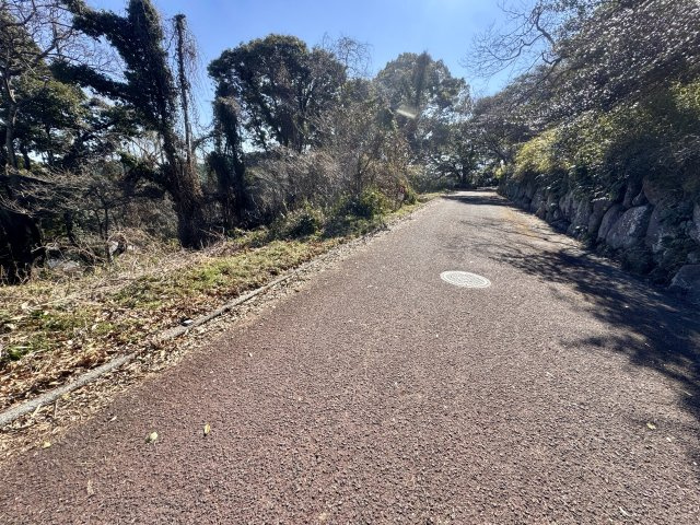 Ｎ-34【前面道路含む現地写真】西側道路