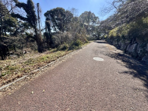Ｎ-34【前面道路含む現地写真】西側道路