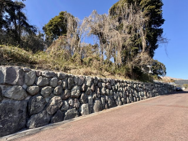 Ｎ-34【前面道路含む現地写真】東側道路